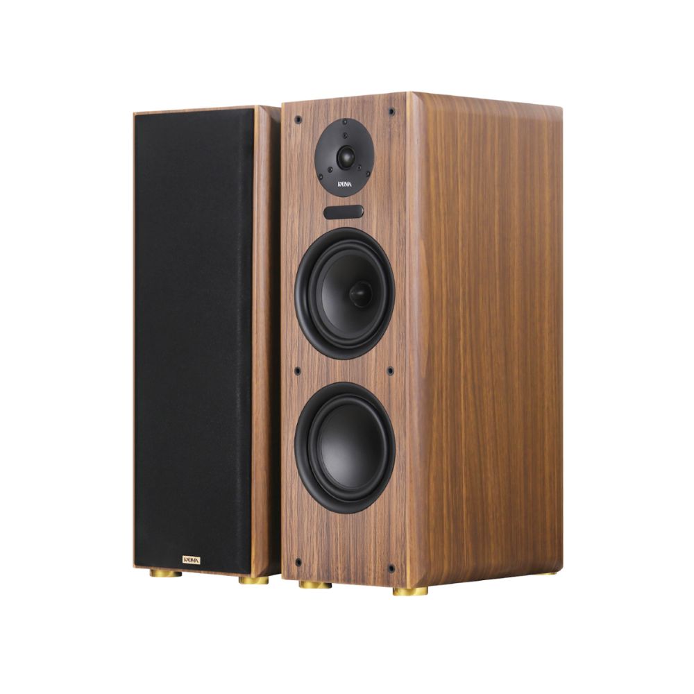 Kadma BS56