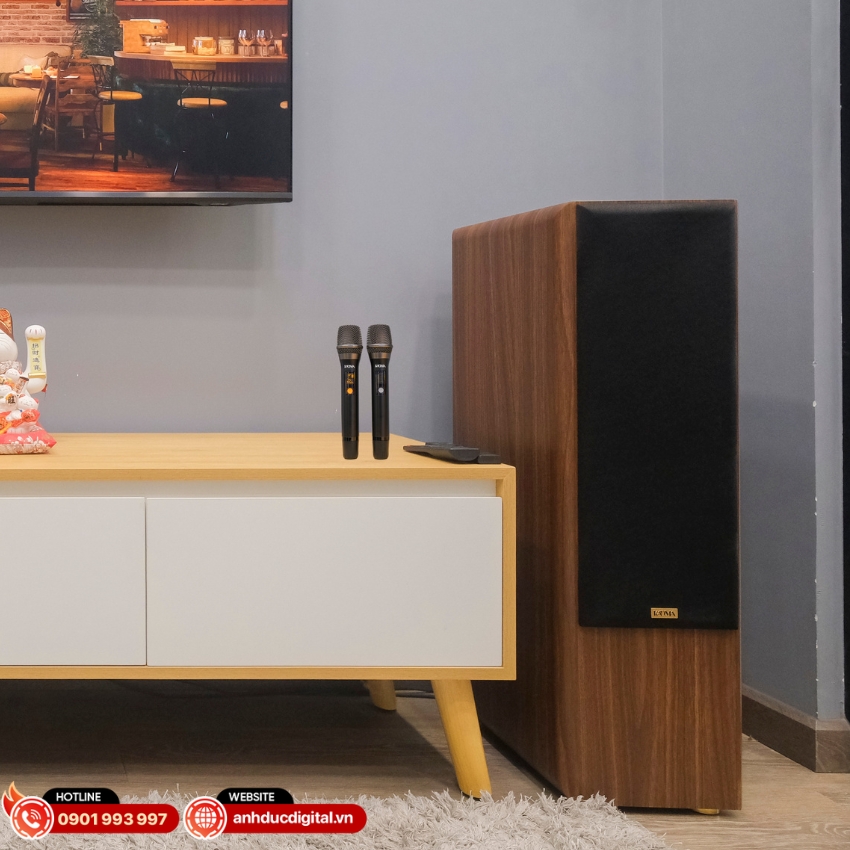 Với công suất 360W, loa Kadma BS66 đáp ứng tốt nhu cầu nghe nhạc, xem phim và karaoke gia đình