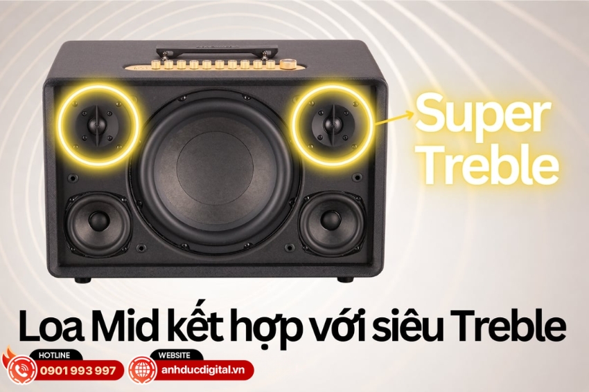 Loa Acnos FLAC 39 được trang bị hệ thống mid kết hợp c&ugrave;ng super tweeter