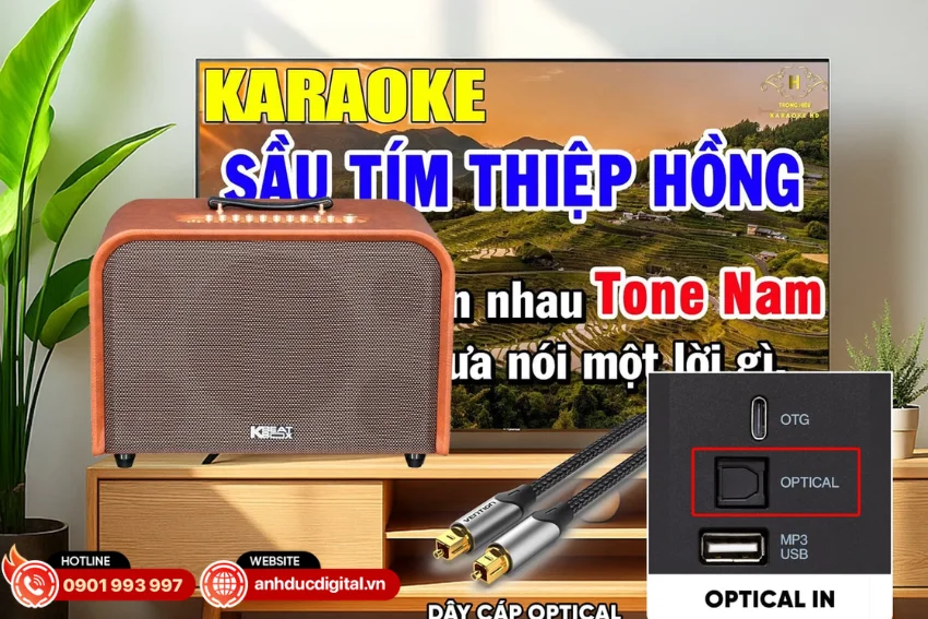 Loa Acnos Harmony V26 hỗ trợ đầy đủ c&aacute;c cổng kết nối như Bluetooth 5.0, Optical, USB, Guitar v&agrave; Line In/Out