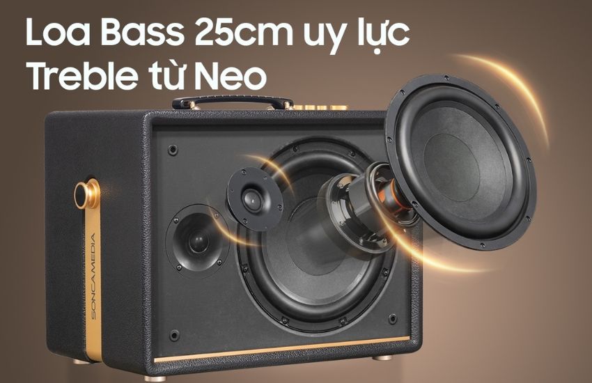 Bass 25cm và treble Neo trên loa Acnos D’Auris 200