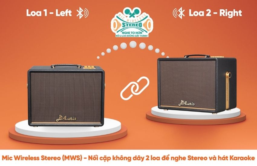 Ghép đôi 2 loa Acnos D’Auris 200 bằng MWS