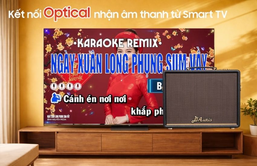 Hệ thống cổng kết nối của loa Acnos D’Auris 200
