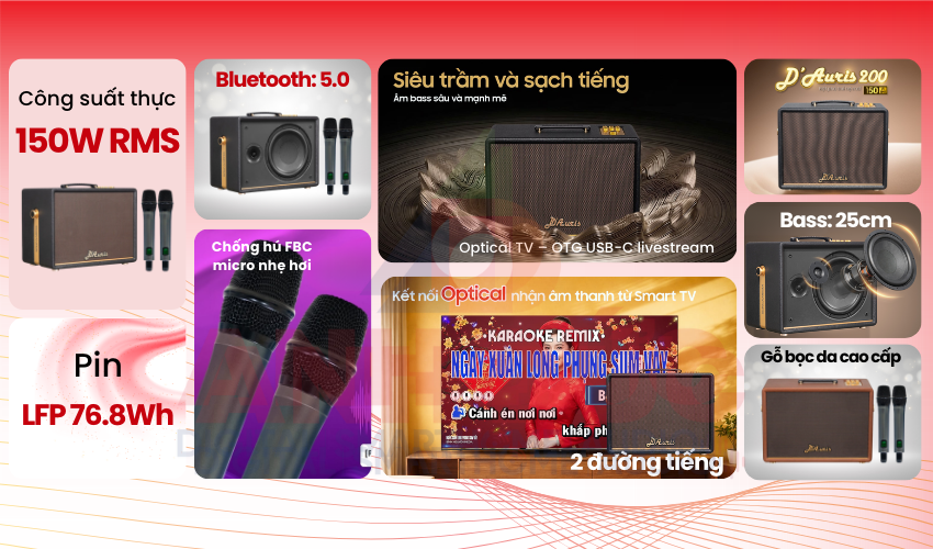 Loa Acnos D’Auris 200