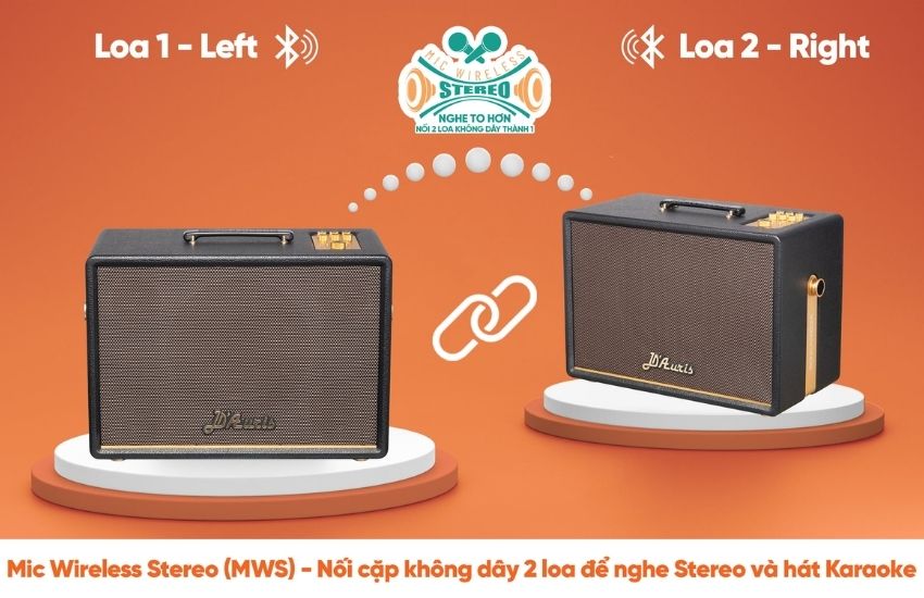 Mic Wireless Stereo ghép đôi loa Acnos D’Auris 300