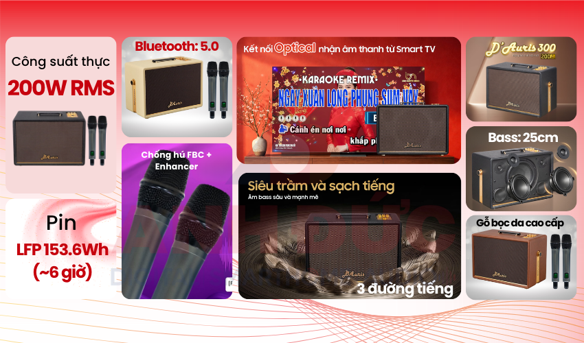 Loa Acnos D'Auris 300