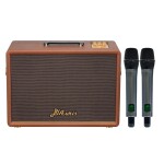 Loa Acnos D'Auris 300 | Brown (Chính hãng)