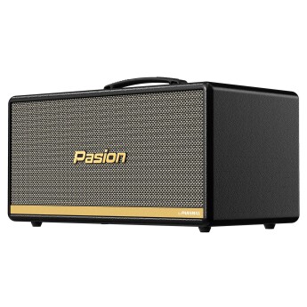 Loa Paramax Pasion 2 | Black Leather (Chính Hãng)