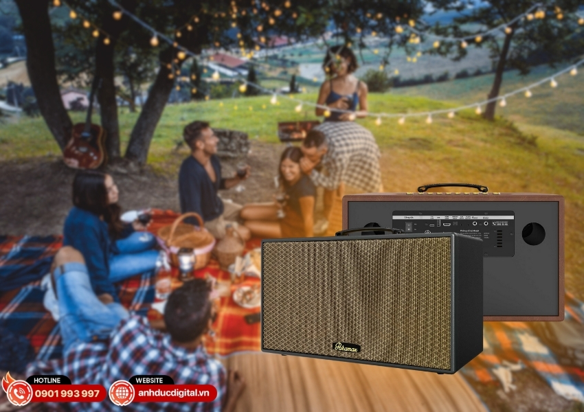 Loa Paramax Aura - 1