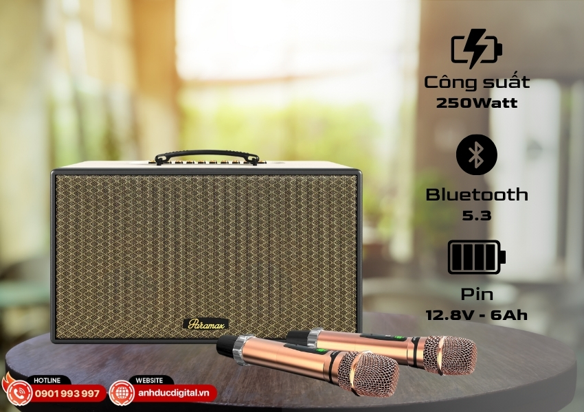 Loa Paramax Aura - 2