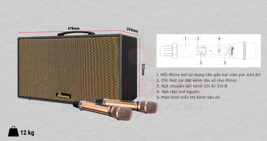 Loa Paramax Aura - 5
