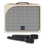 Loa Paramax Evox Max | Brown (Chính hãng)