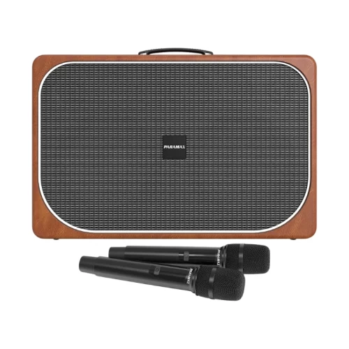 Loa Paramax Sono Max | Brown (Chính hãng)