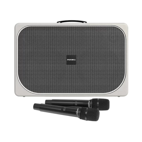 Loa Paramax Sono Max | Gray (Chính hãng)