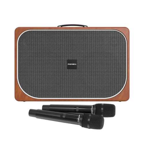 Loa Paramax Sono | Brown (Chính hãng)