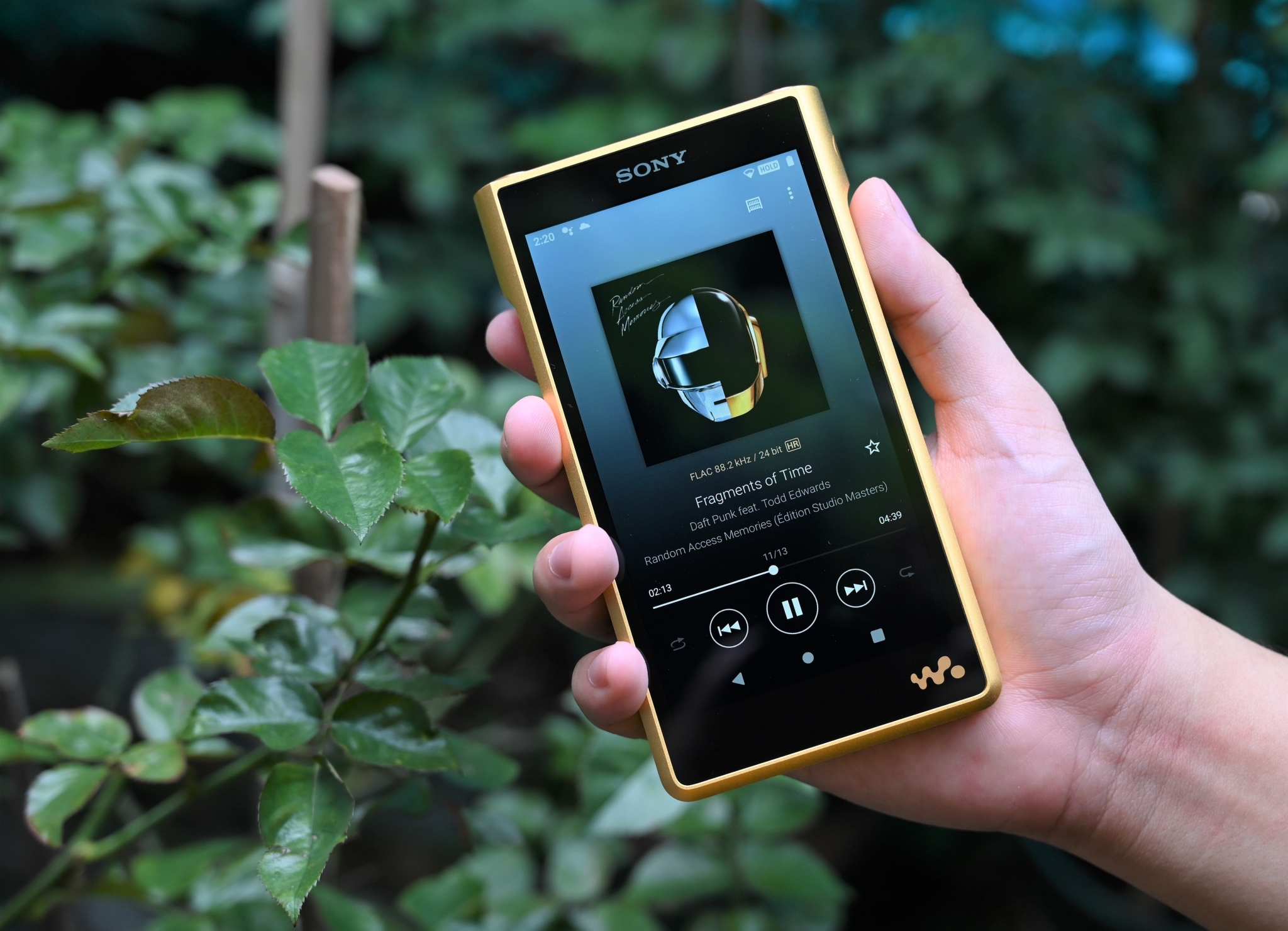 Sony Walkman NW-WM1ZM2 22