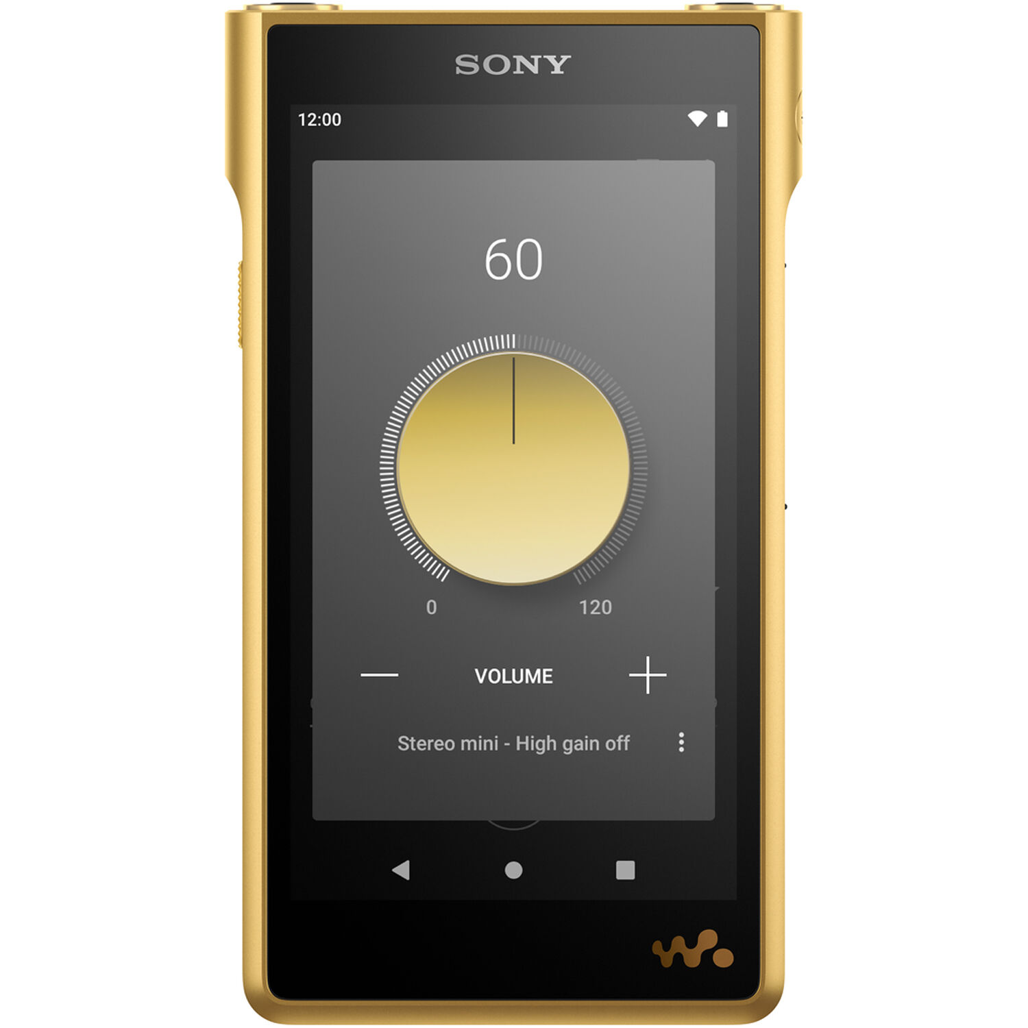Sony Walkman NW-WM1ZM2 26