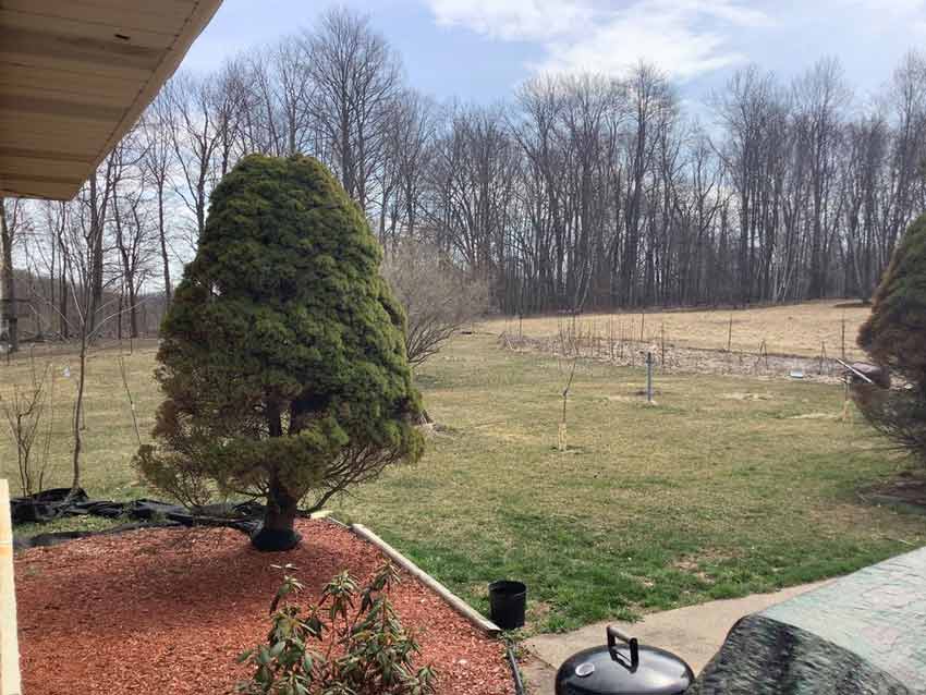 Hệ thống camera tối ưu