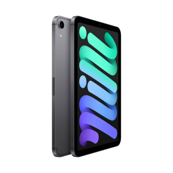 iPad Mini 2021 | Wifi + Cellular/256GB | Space Gray (Chính Hãng)