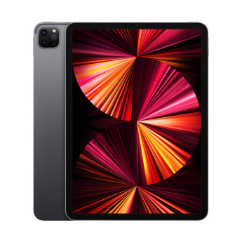 iPad Pro 11 inch 2021 | Wifi/2TB | Space Gray