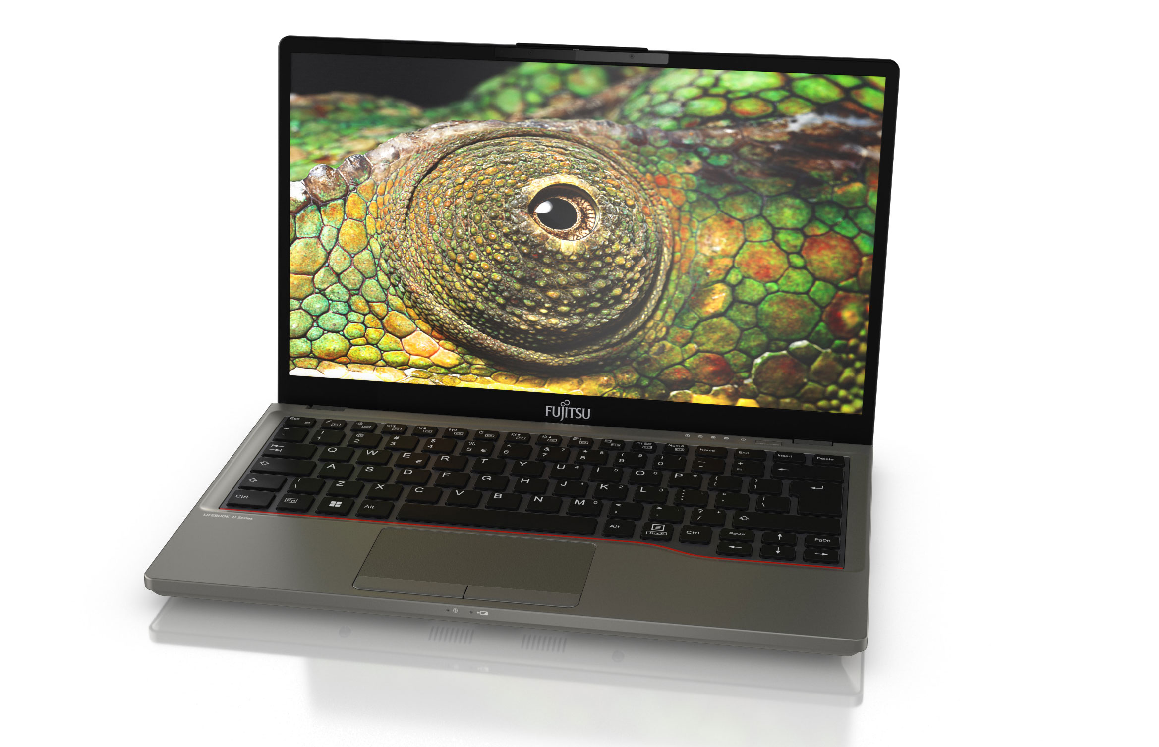 Màn hình 13.3 inch sắc nét