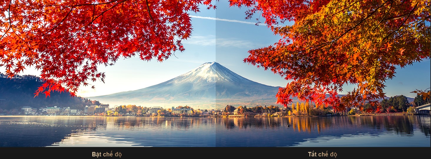 Tùy chỉnh gam màu nhanh chóng 