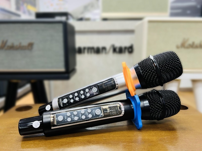 Tích hợp điều chỉnh Echo và âm lượng dễ dàng