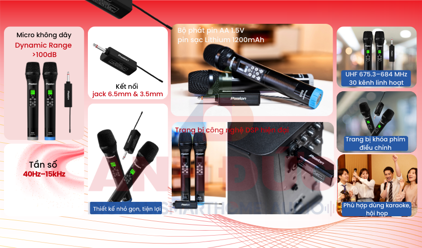 Micro không dây tích hợp Pasion Echo