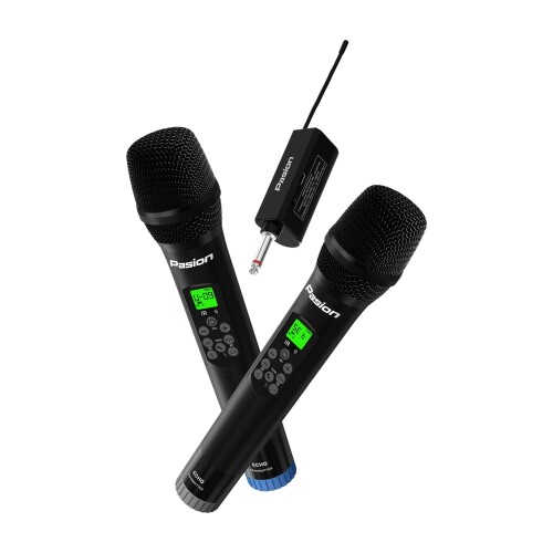 Micro không dây tích hợp Pasion Echo (Chính hãng)
