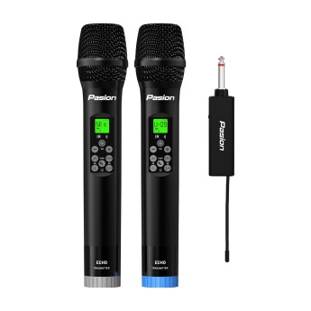 Micro không dây tích hợp Pasion Echo (Chính hãng)