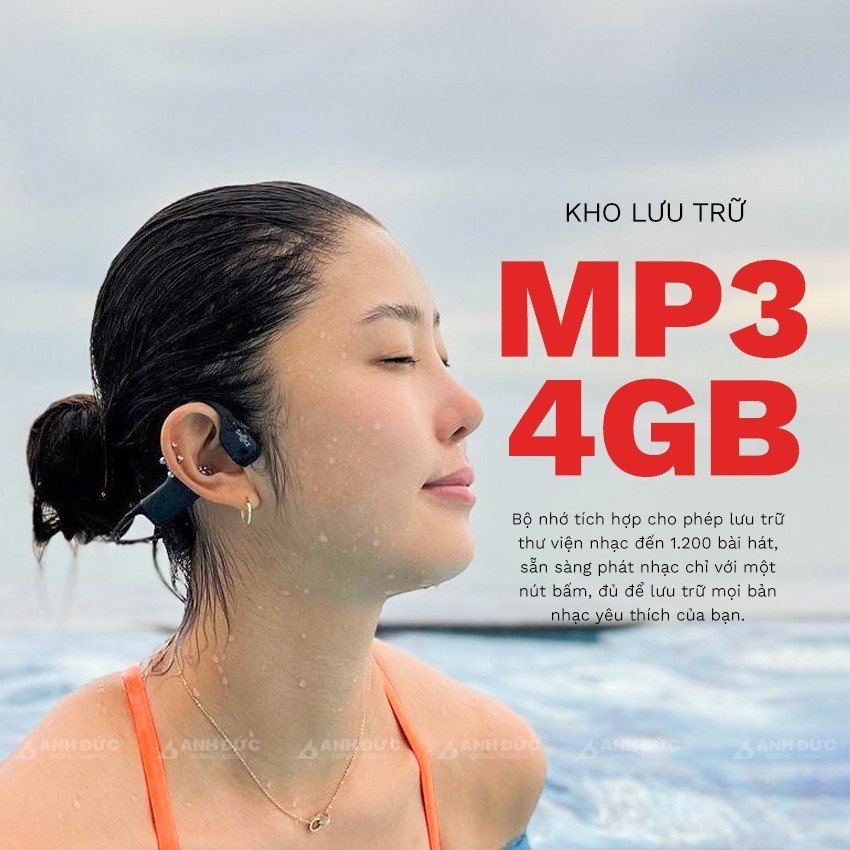 Kho lưu trữ MP3 4GB