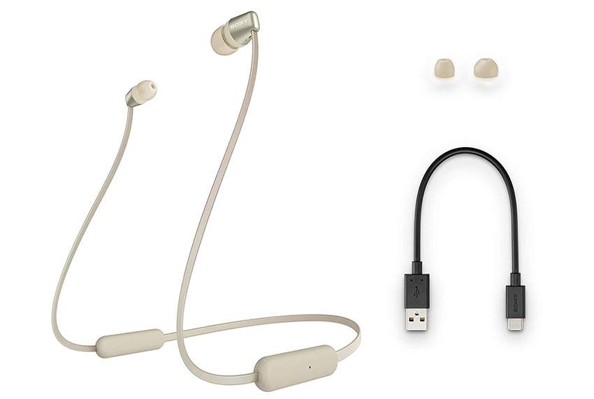 Sony WI-C310 24