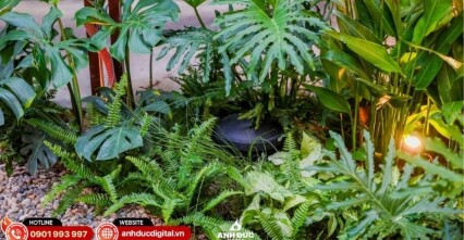 Dự án hệ thống âm thanh nhà hàng MiRi Hôm #3