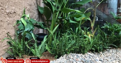 Dự án hệ thống âm thanh nhà hàng MiRi Hôm #7