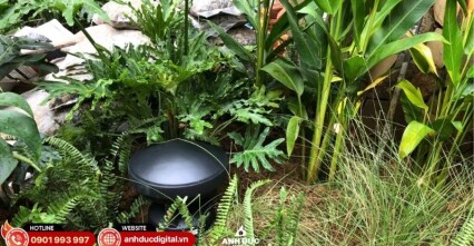 Dự án hệ thống âm thanh nhà hàng MiRi Hôm #9