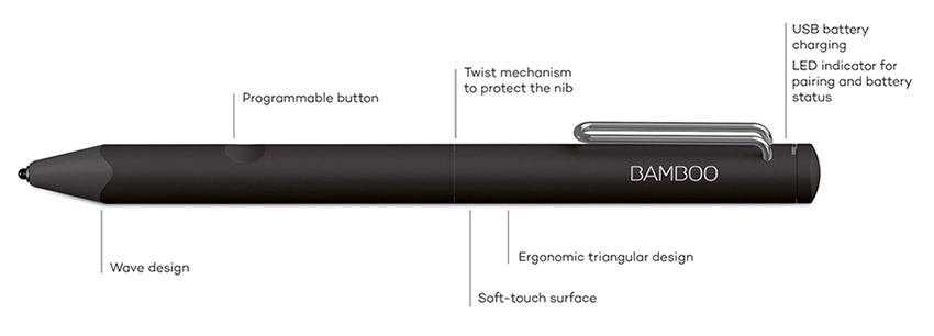 Bamboo Fineline 07