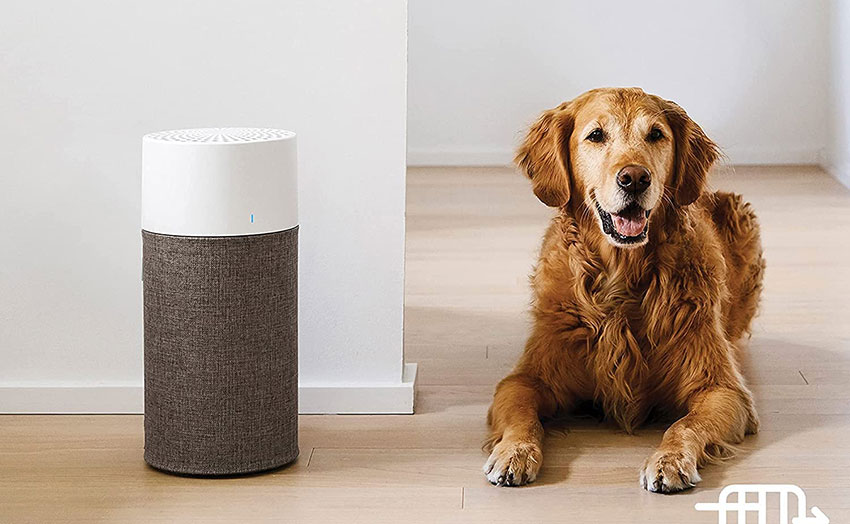 Hoạt động êm ái và tiết kiệm điện năng