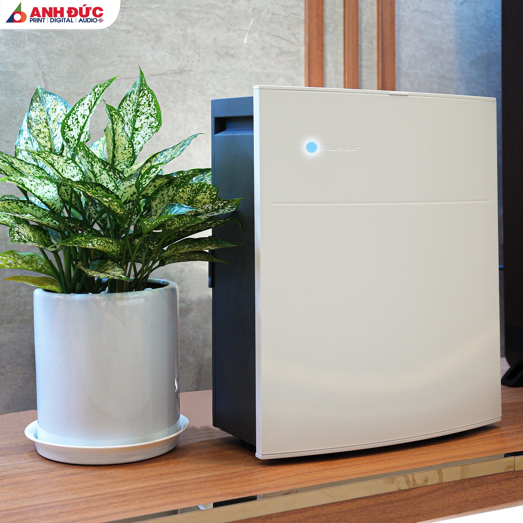 Máy lọc không khí Blueair Classic 205 SM