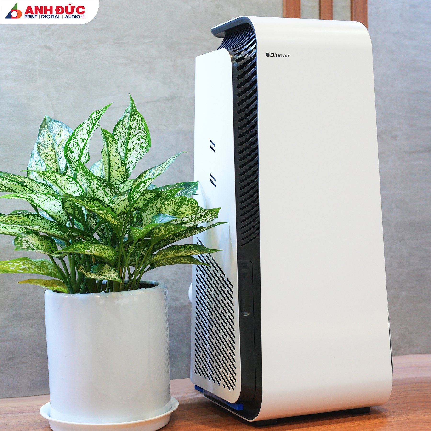 Vẻ ngoài hiện đại, sang trọng