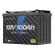 Pin EcoFlow Lithium 12V 100Ah Deep Cycle LiFePO4 Battery (Chính hãng)