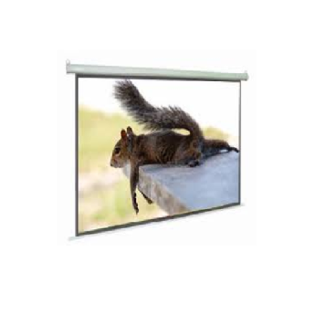 Màn chiếu E-Screen WS3120 (Chính Hãng)