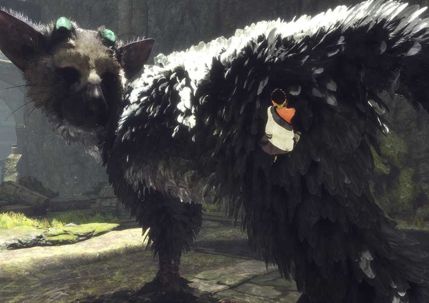 Đĩa Game PS4 The Last Guardian 1