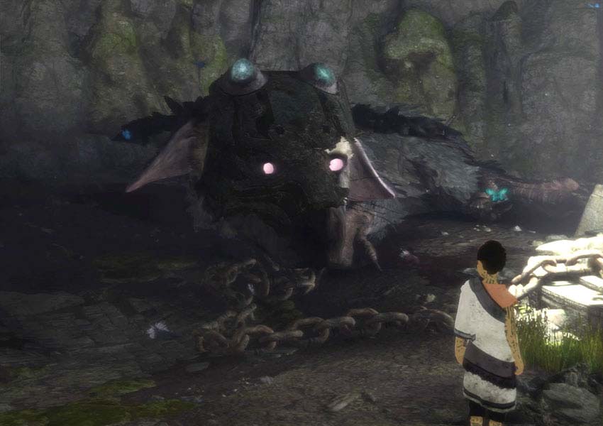 Đĩa Game PS4 The Last Guardian 2