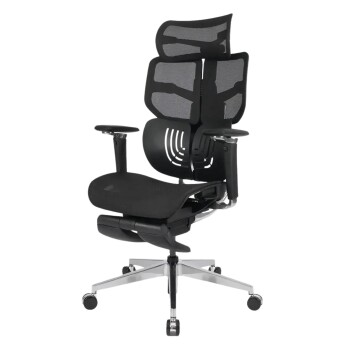 Ghế công thái học Epione AliusChair | All Black (Chính hãng)