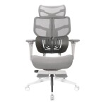 Ghế công thái học Epione AliusChair | Cool Gray (Chính hãng)