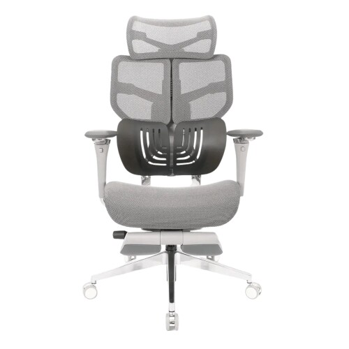 Ghế công thái học Epione AliusChair | Cool Gray (Chính hãng)