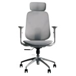 Ghế công thái học Epione ElysChair | Cool Gray (Chính hãng)