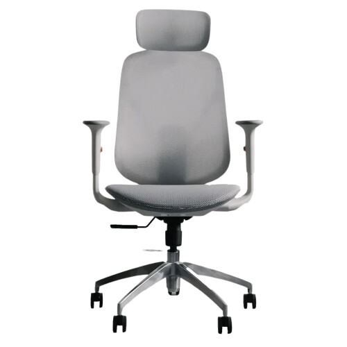 Ghế công thái học Epione ElysChair | Cool Gray (Chính hãng)