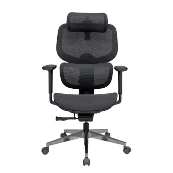 Ghế công thái học Epione FortisChair 2.0 (Chính hãng)