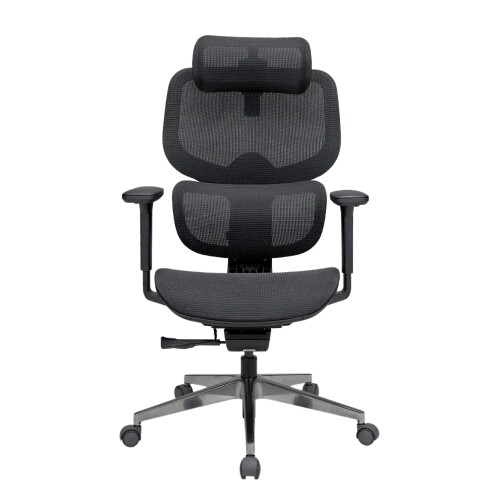 Ghế công thái học Epione FortisChair 2.0 (Chính hãng)